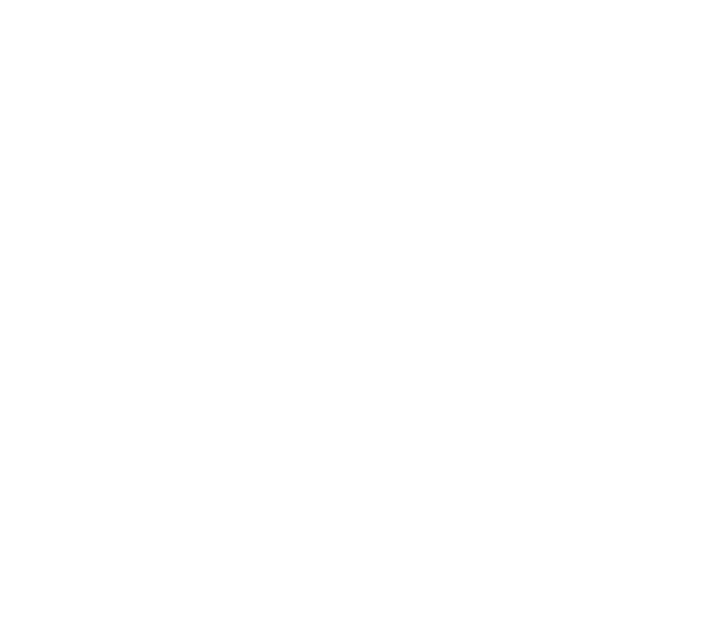 BREE RUNWAY Official Store